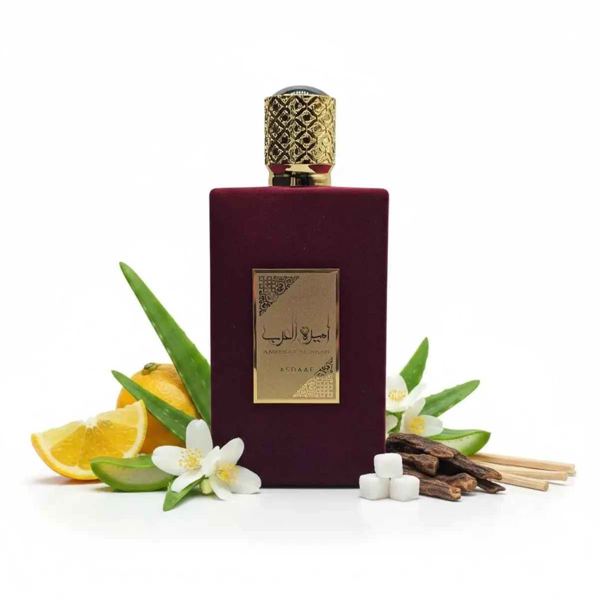 Notas olfativas del perfume Ameerat Al Arab Asdaaf