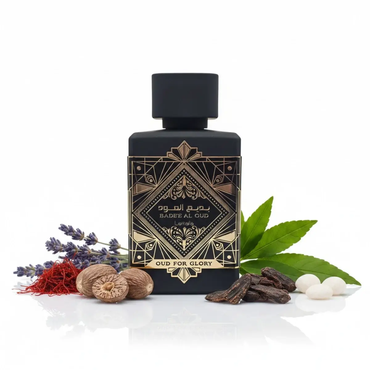 Notas olfativas del perfume Bade’e Al Oud Oud for Glory