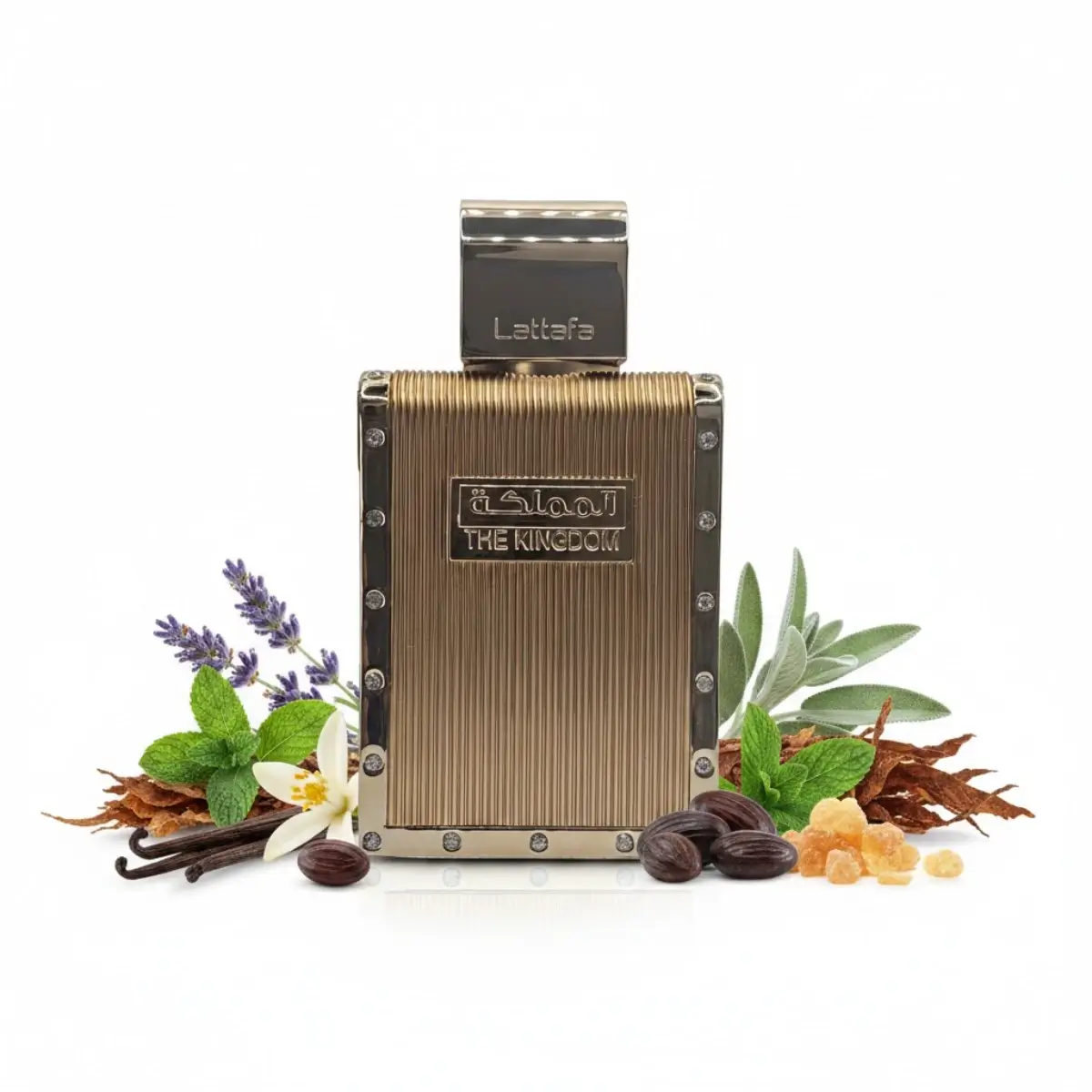 Notas olfativas del perfume The Kingdom Lattafa EDP para Hombre
